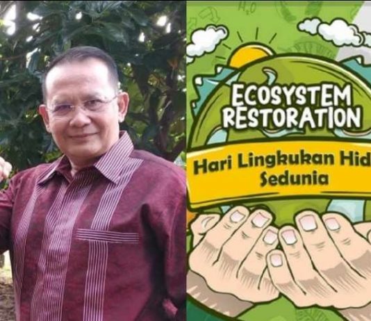 Hari Lingkungan Hidup Sedunia, Restorasi Ekosistem Wujudkan Bali Era Baru, BIPPLH Siap Sikat Perusak Lingkungan