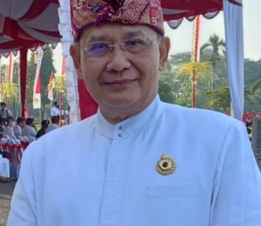 Jro Gede Subudi: Walhi Bali Jangan Tebang Pilih, Harus Kritis Kepada Siapapun Perusak Lingkungan