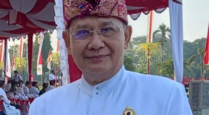 Jro Gede Subudi: Walhi Bali Jangan Tebang Pilih, Harus Kritis Kepada Siapapun Perusak Lingkungan