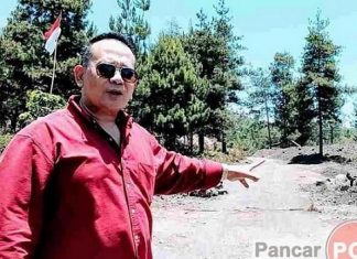 Jadi Aktivis Jangan Setengah-setengah, Walhi Bali Tutup Mata Soroti Reklamasi BTID